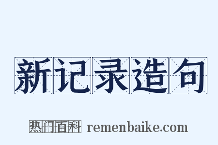 新记录造句是什么意思的图片